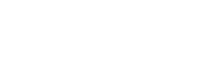 bnp